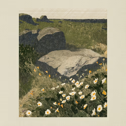 Coast #3