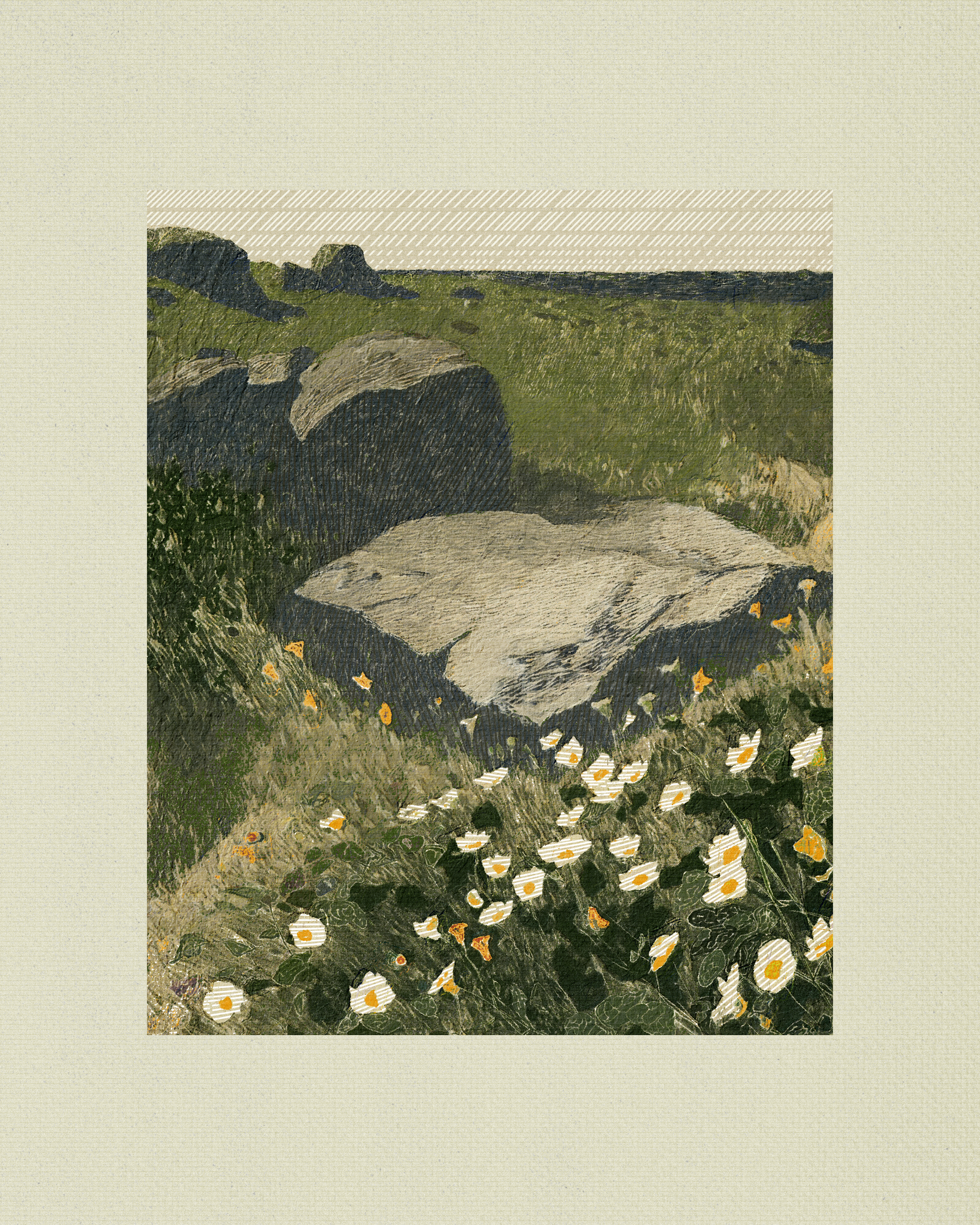 Coast #3