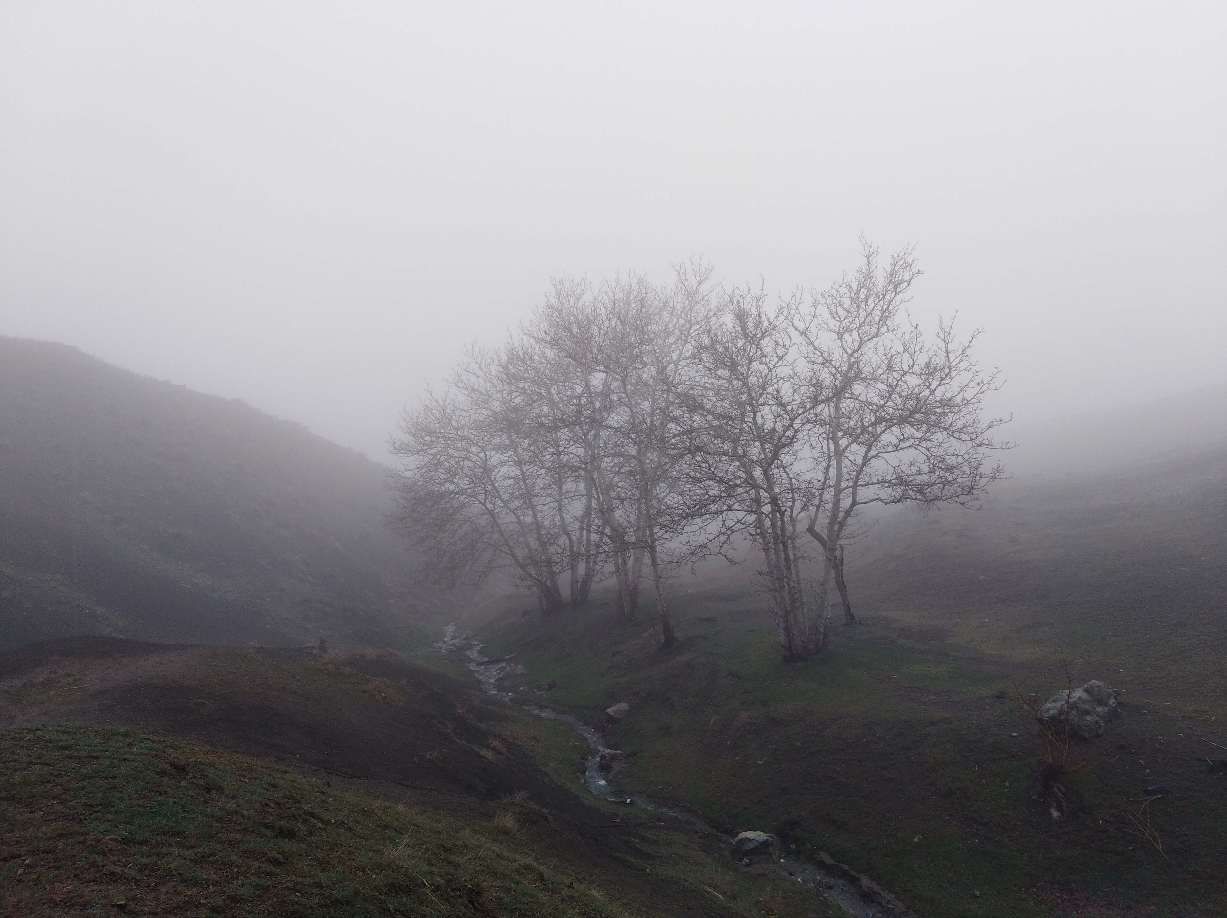 Misty Days! #39