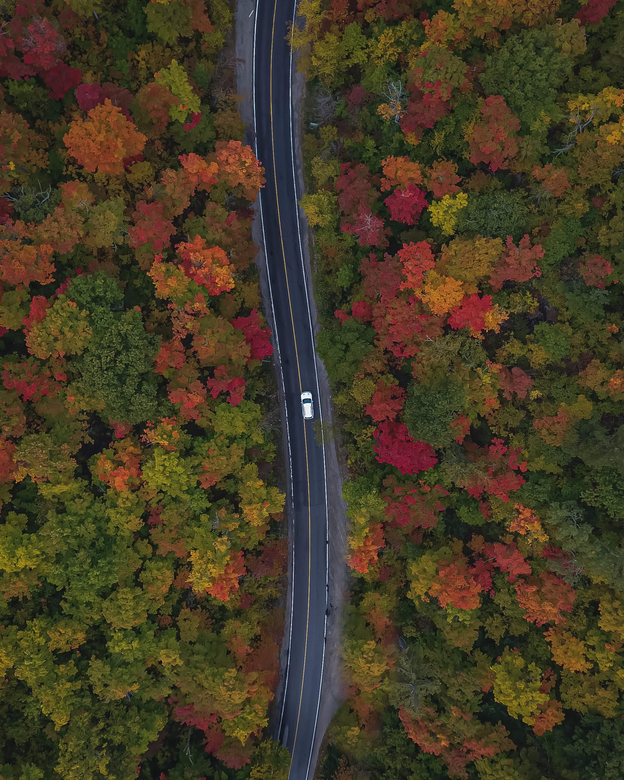 Fall Drive