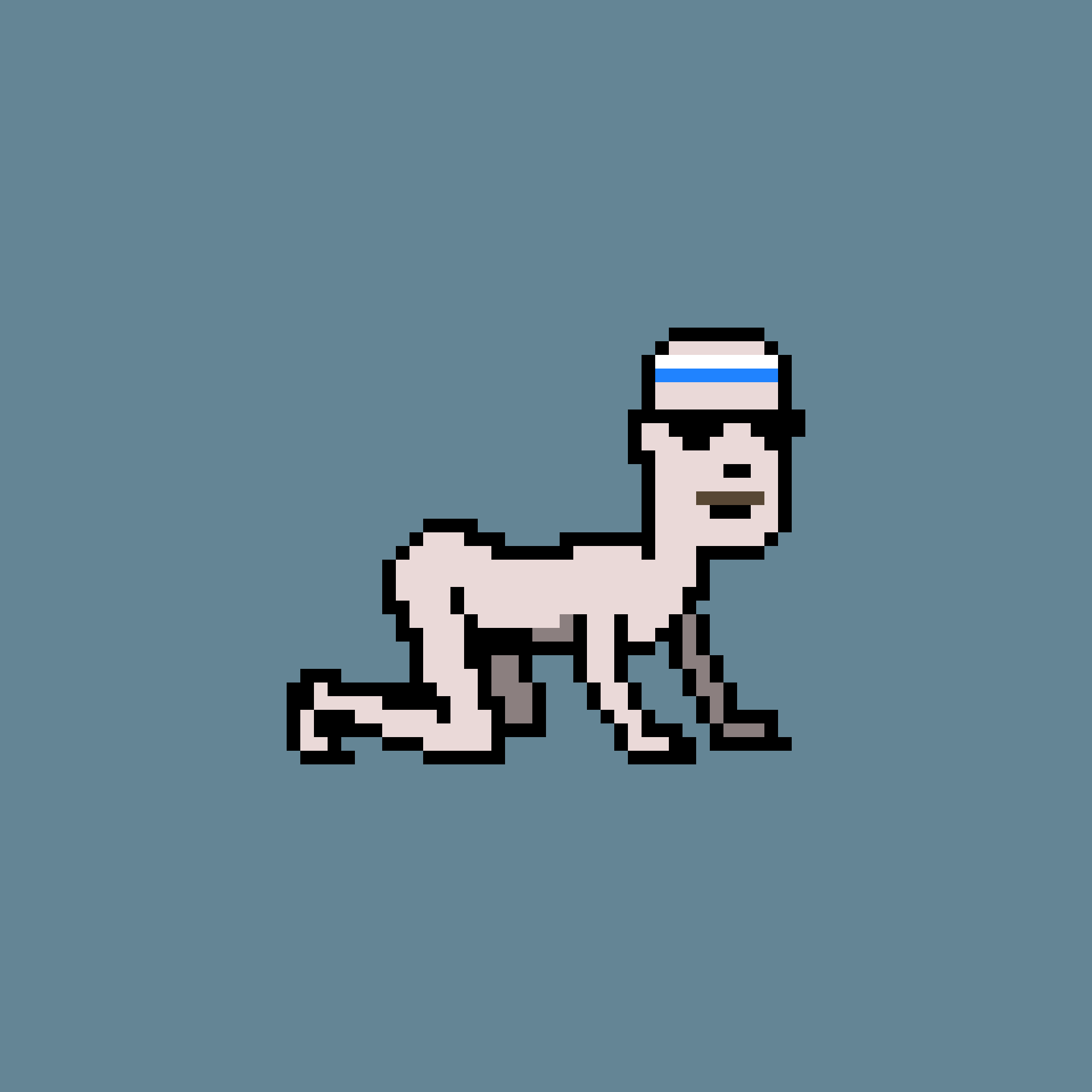 CrawlingPunk #8513