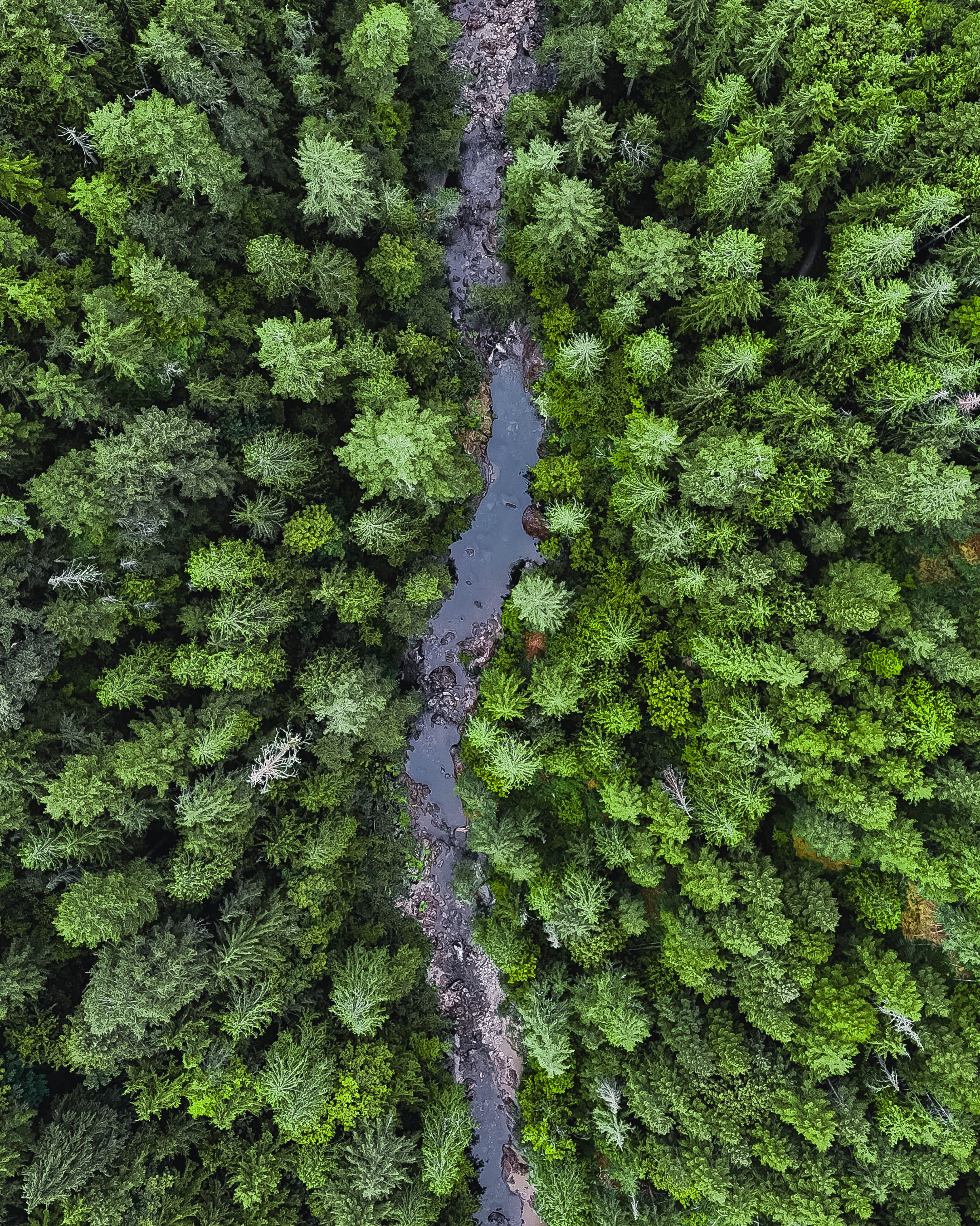 Fresh water