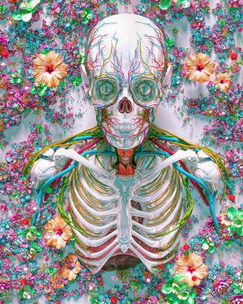 DAY OF THE DEAD 