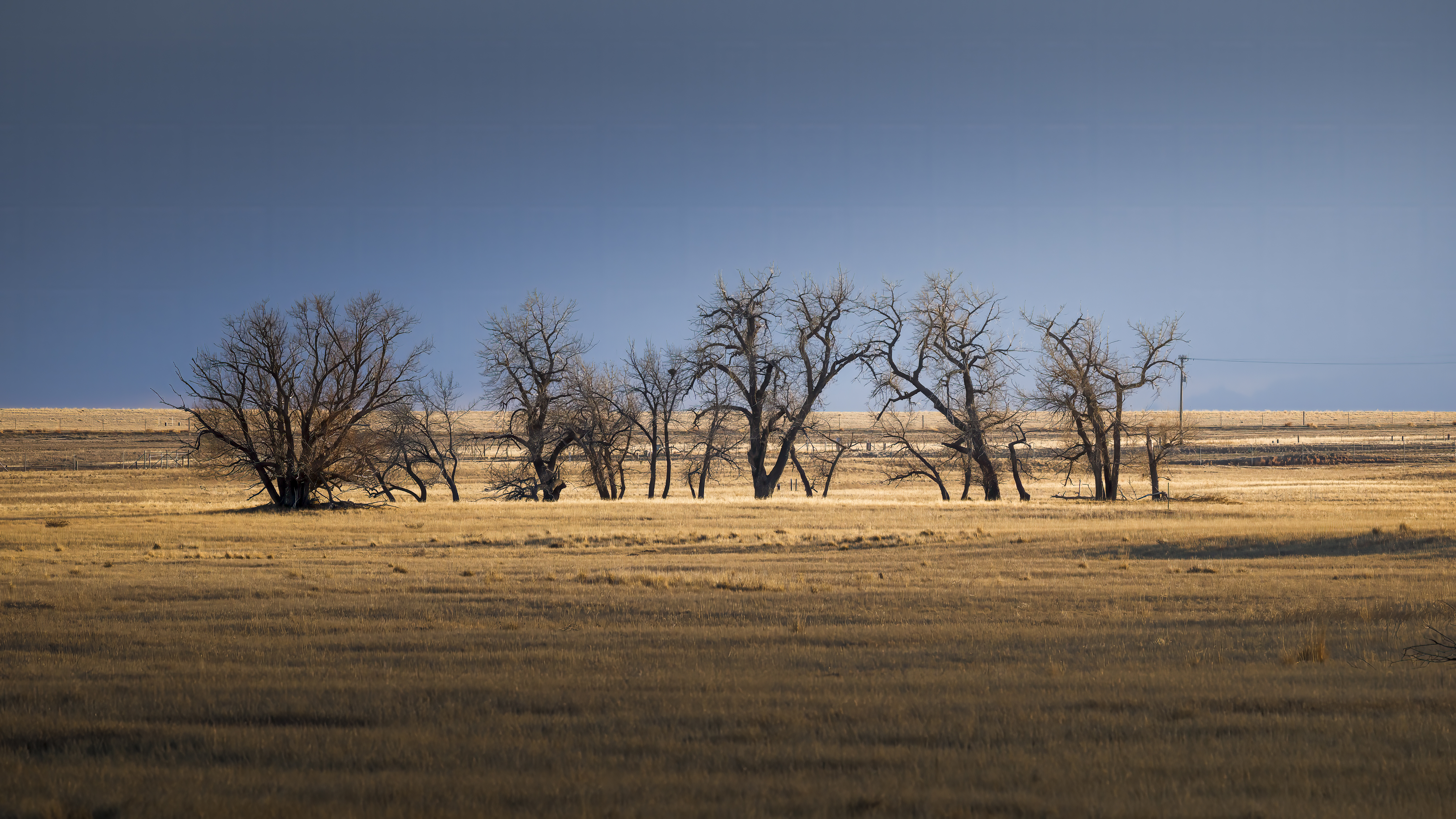 Plains and Simple