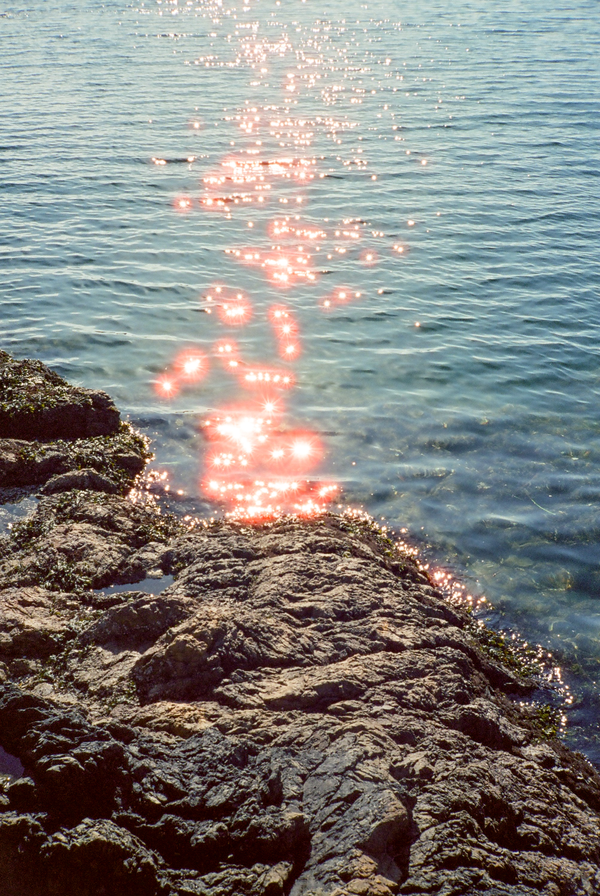 Shimmer