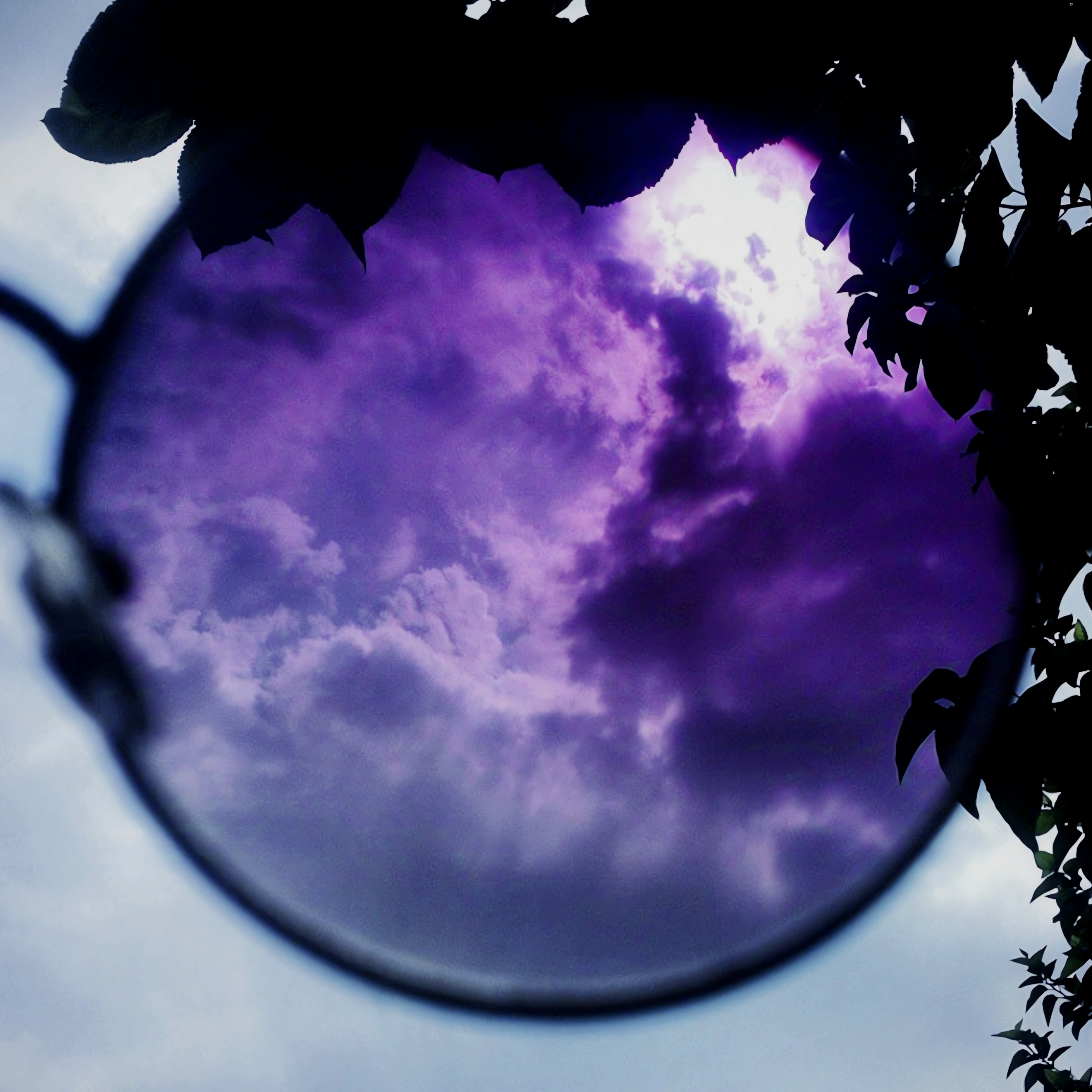 Mobile photography 🖤