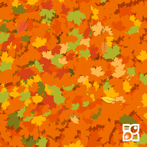 Fall at the Florida Zoo #2014
