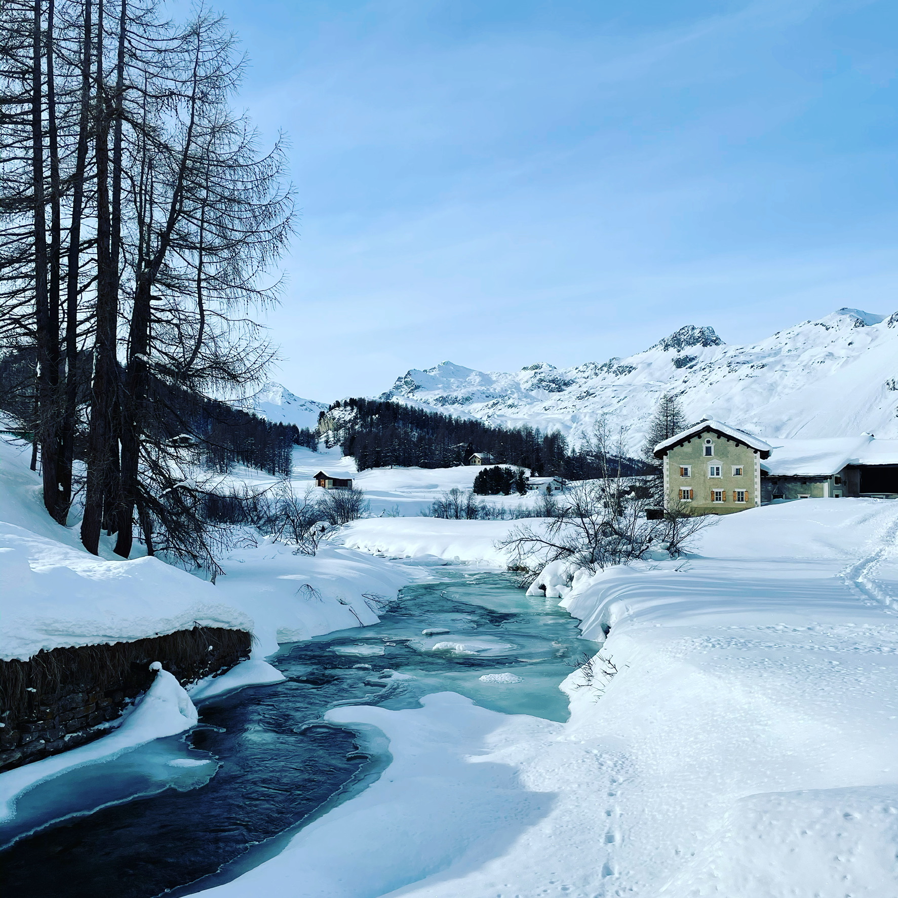 Sils Maria, January