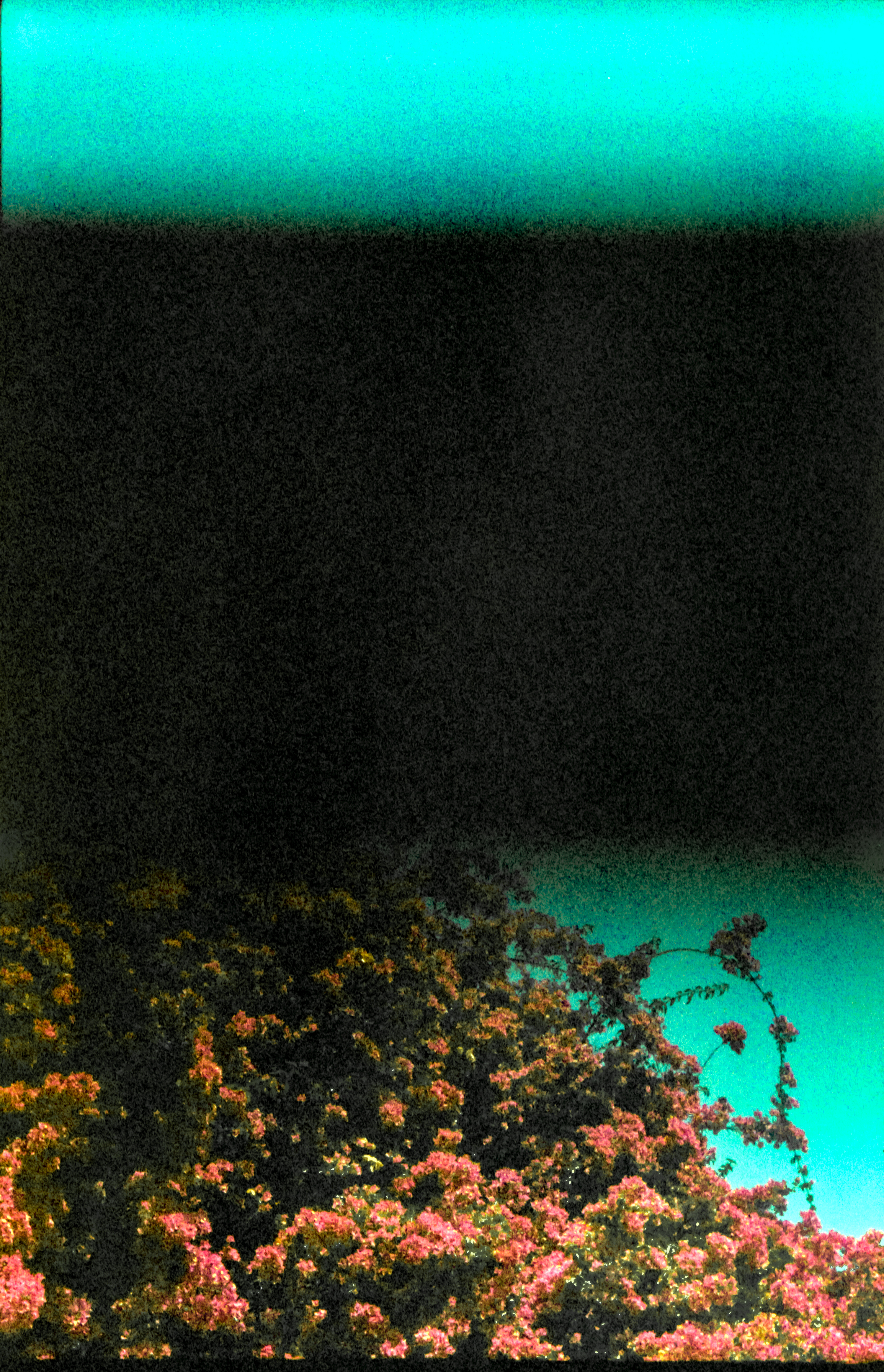 Add Flowers