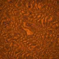 FlowSigil #361