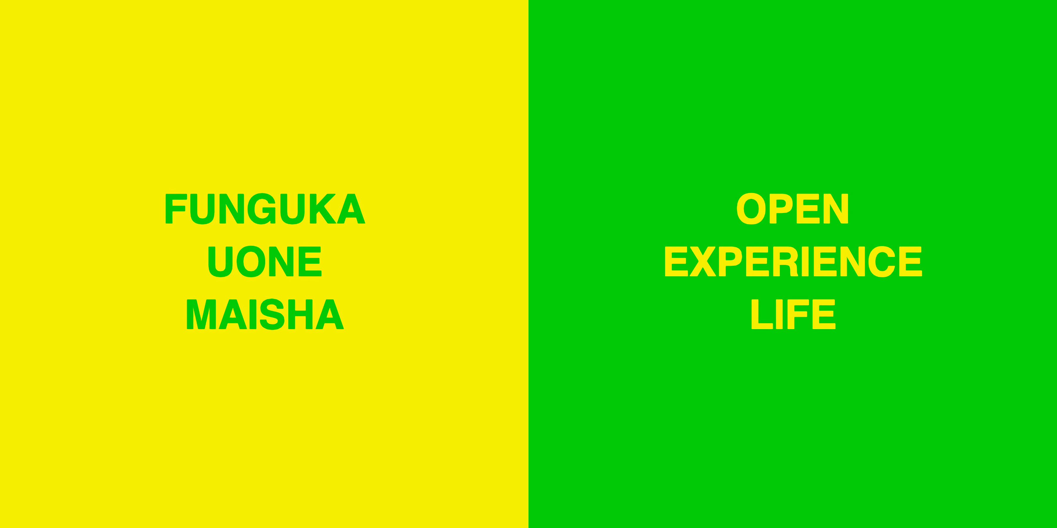 Words of Dzaleka: OPEN EXPERIENCE LIFE