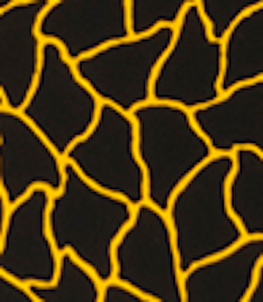 Pumpkin (2) by Yayoi Kusama #6347