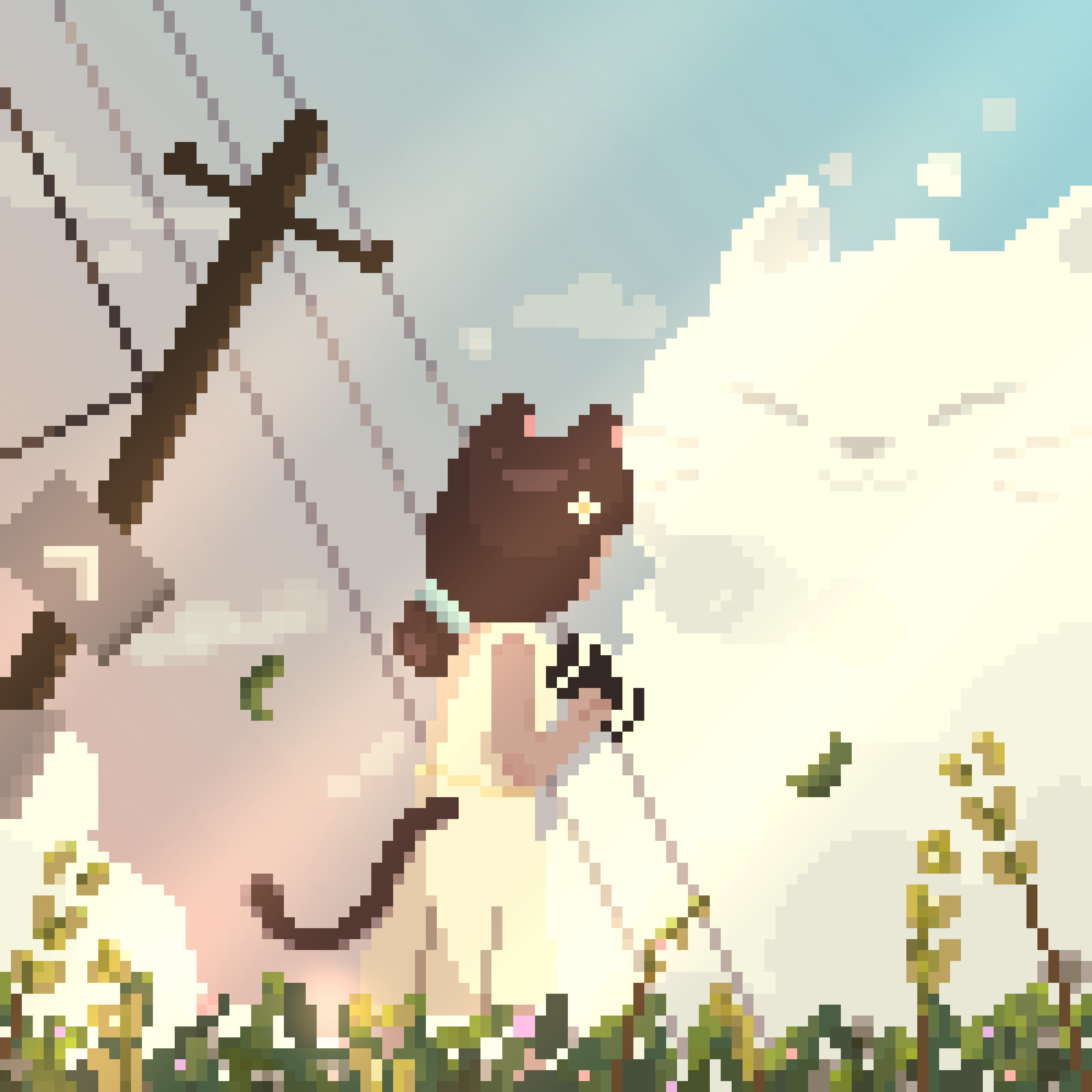 Cat Sky 