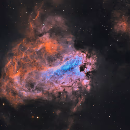 Cosmic Swan