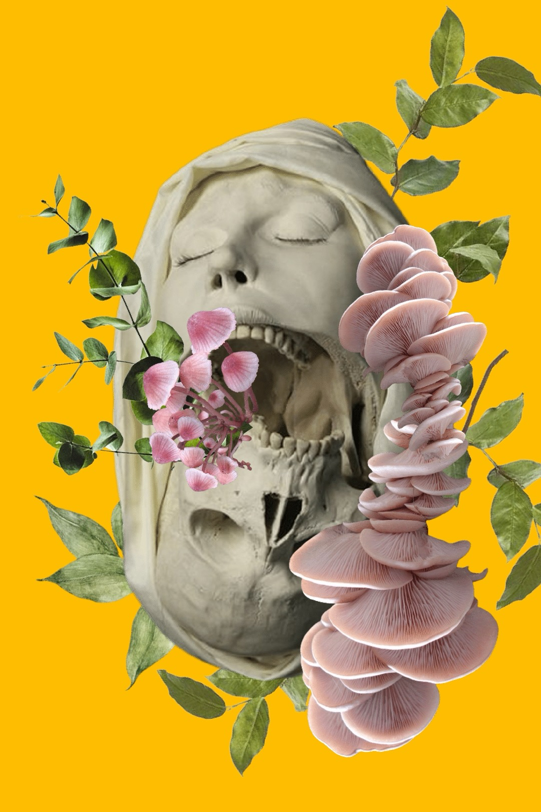 sh* tak-ê