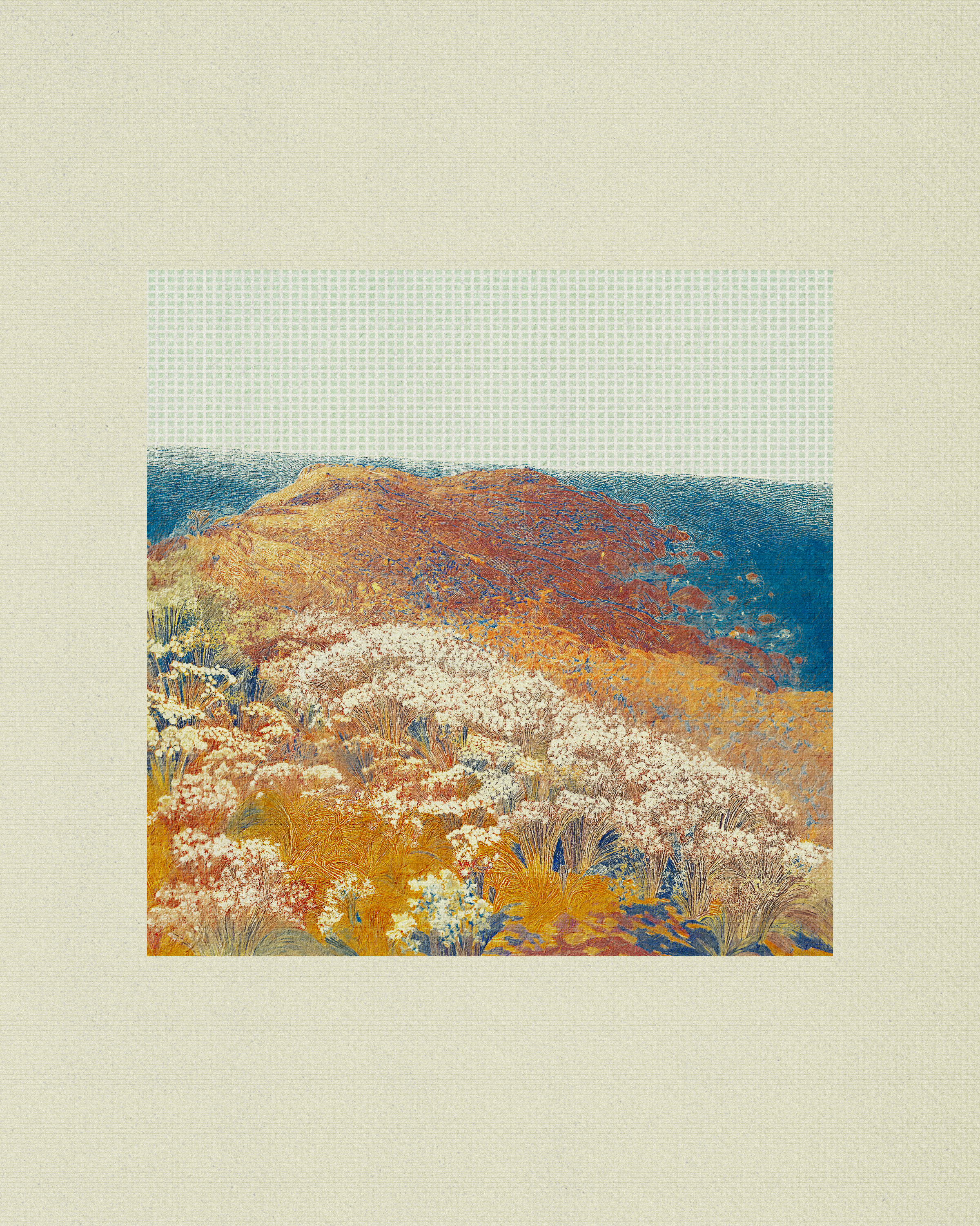 Coast #35