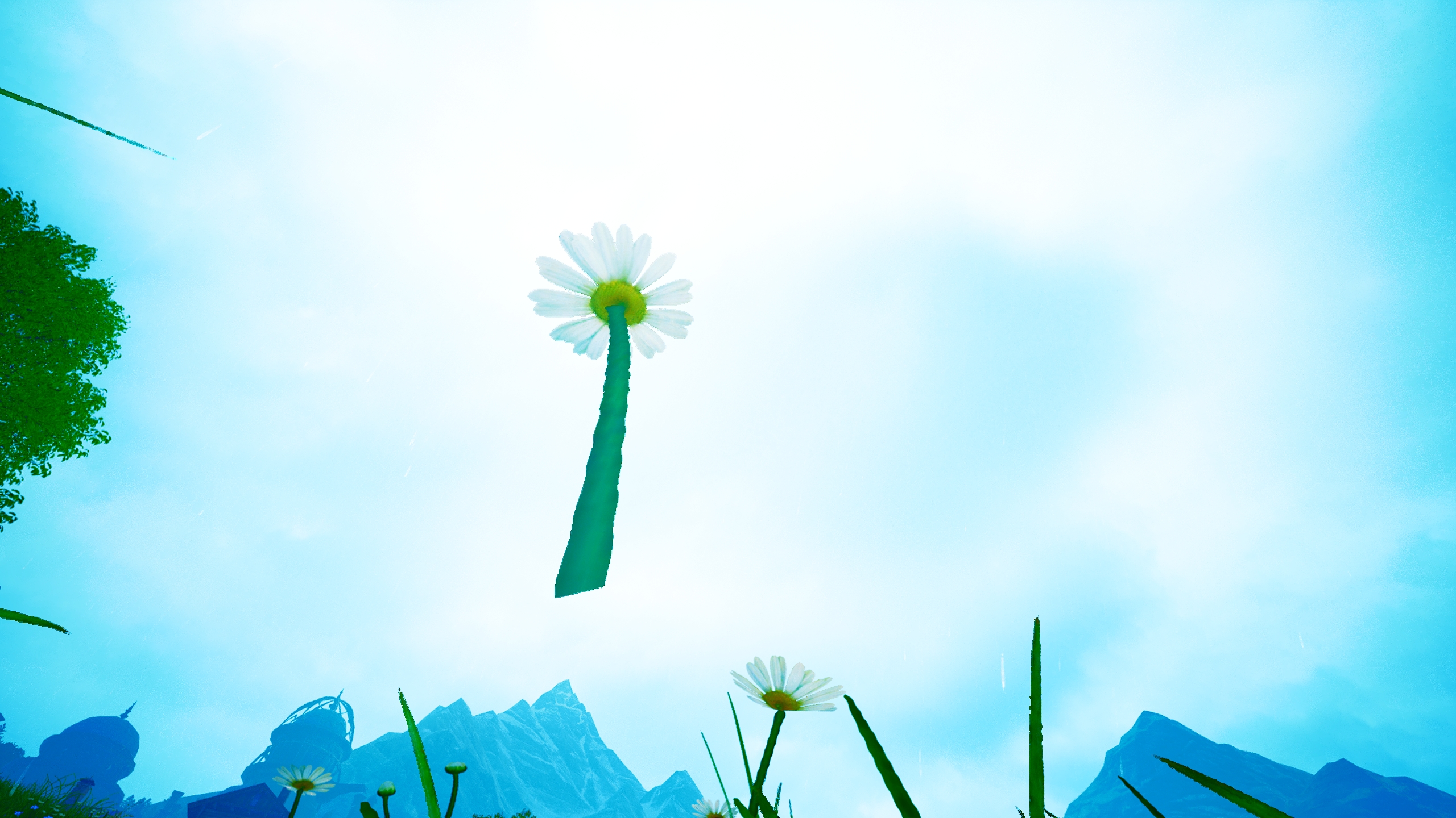 2024 12 27 18 18 33 2239012 (Daisy_2)