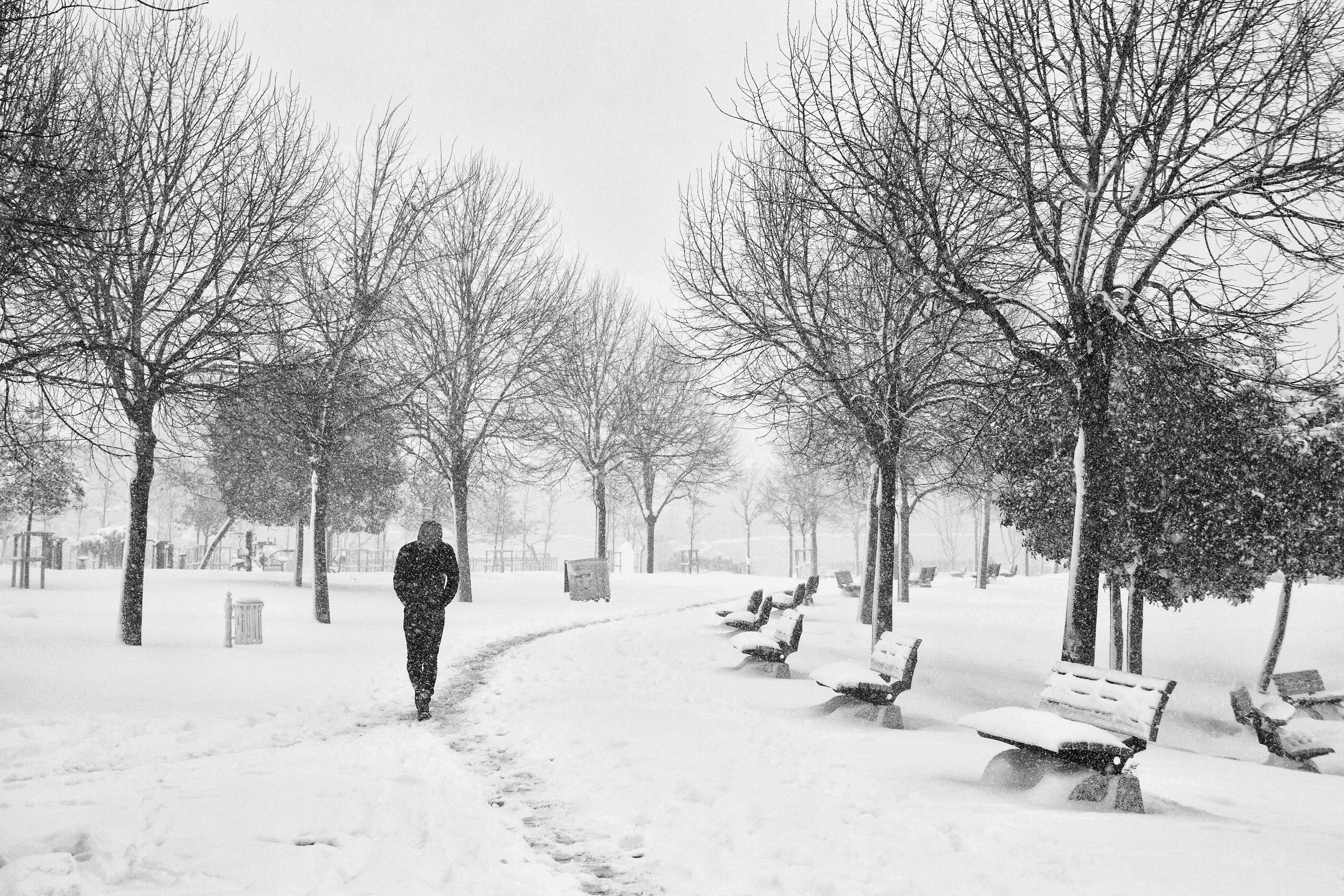 Alone in the snow #2 ❄️ #5