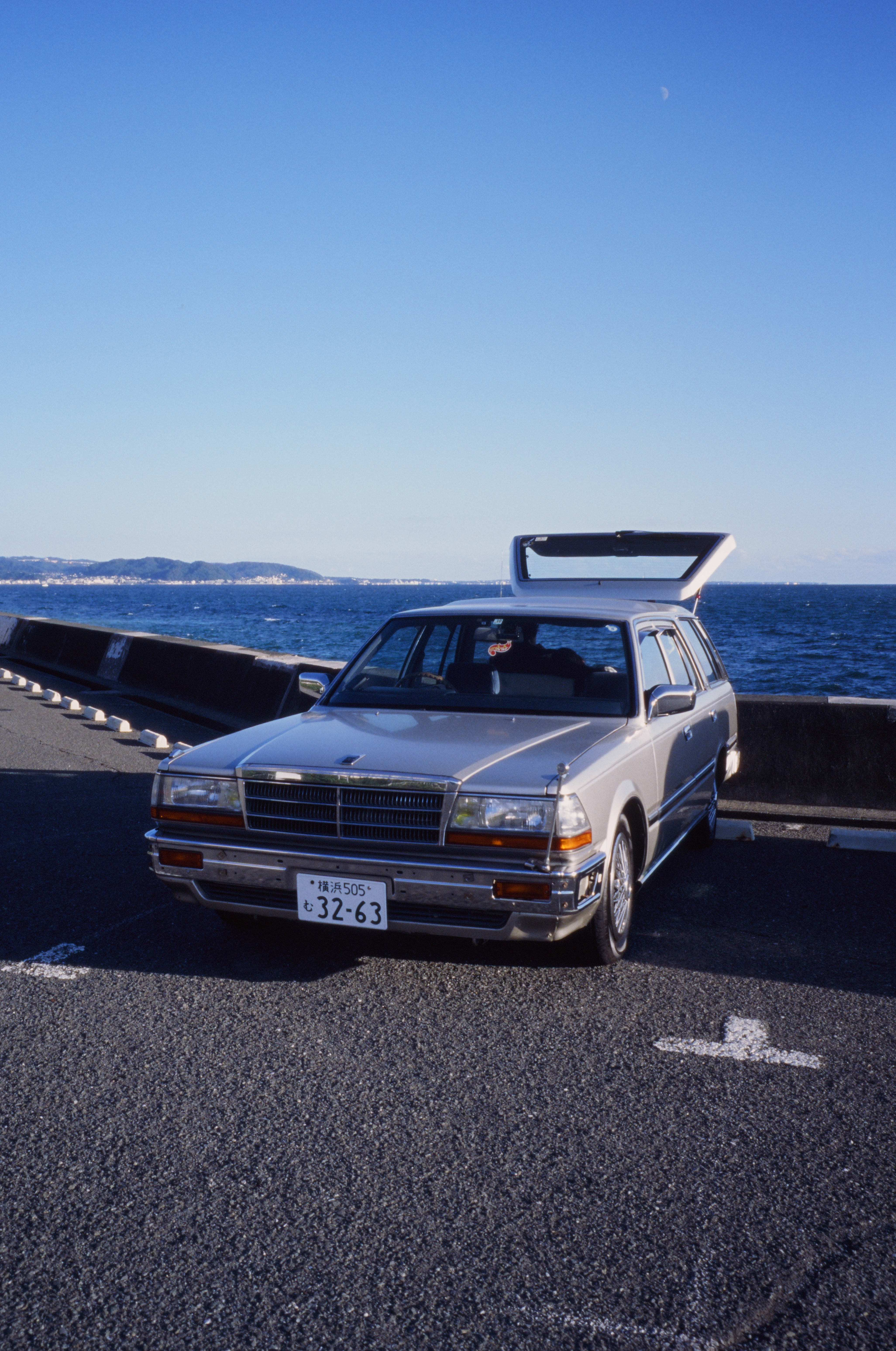 Picnic by the Seaside