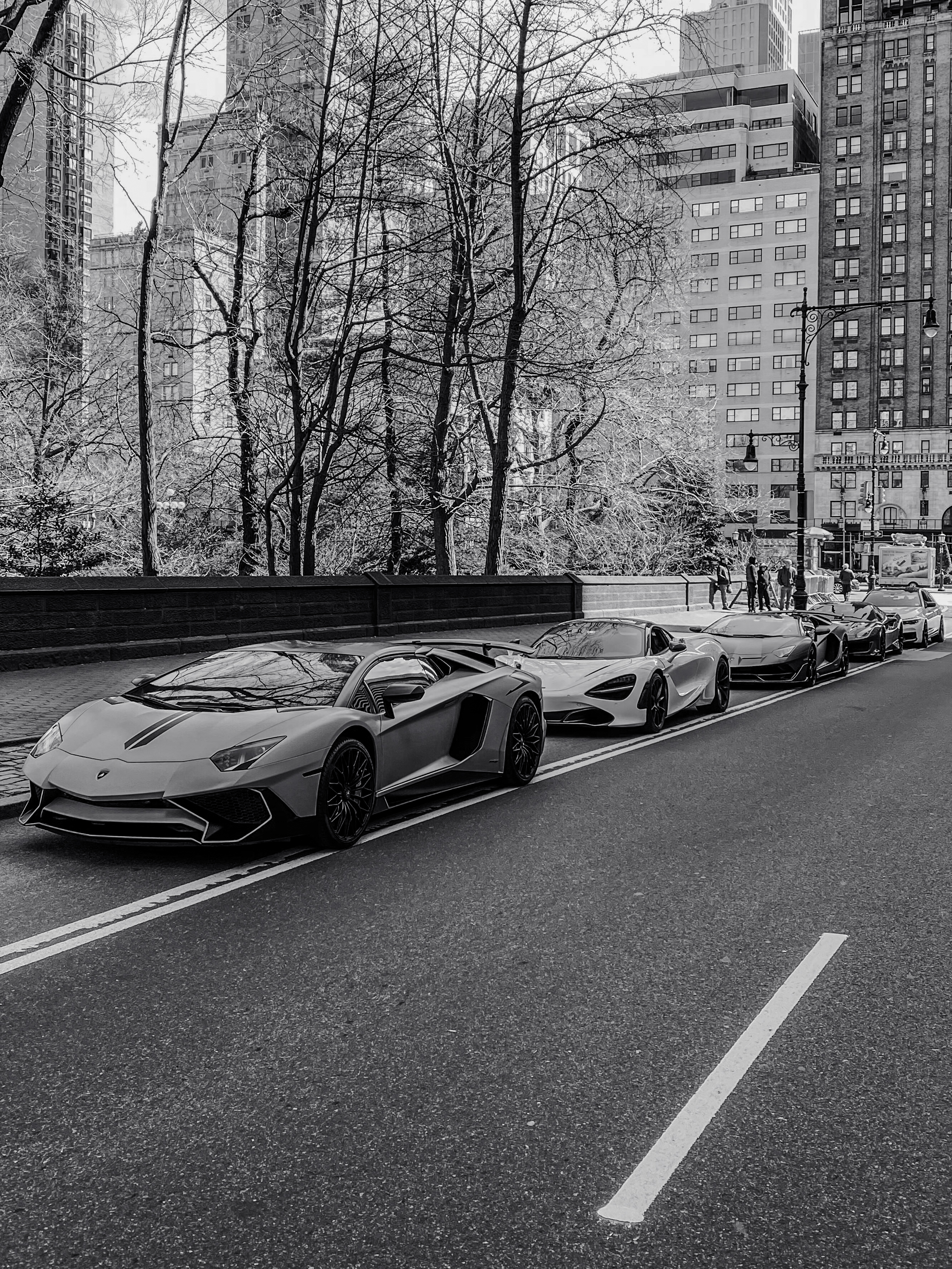Exotic Cars
