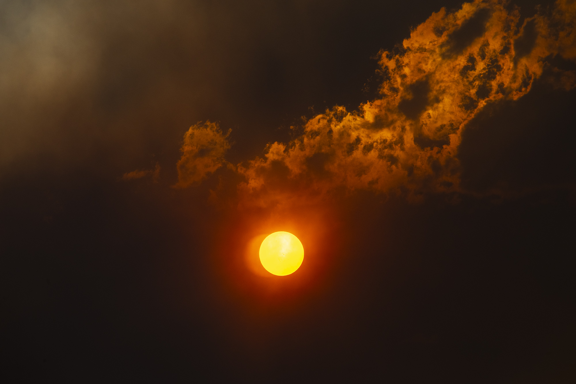 Fire Season #20