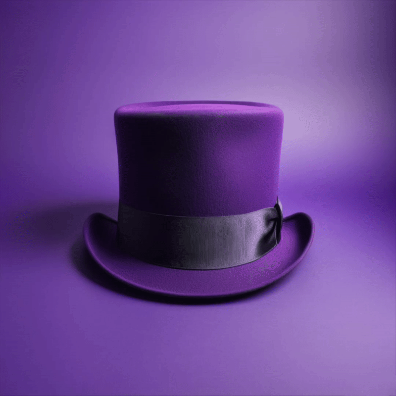 hat on 🎩 🟣
