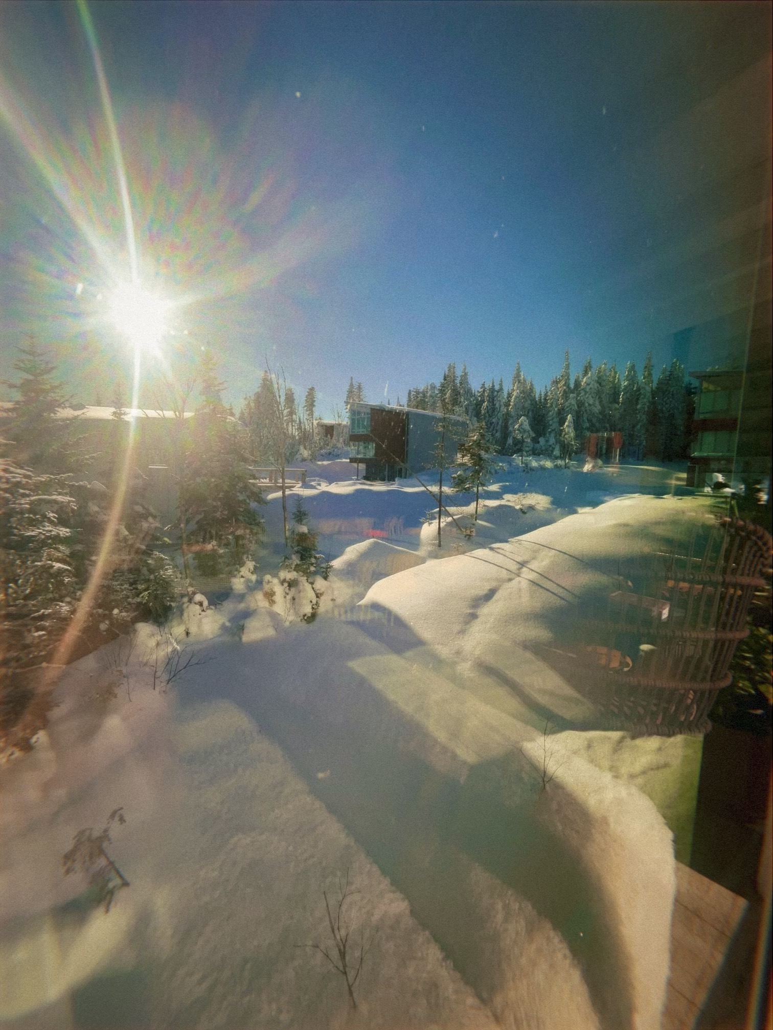 snowy gm