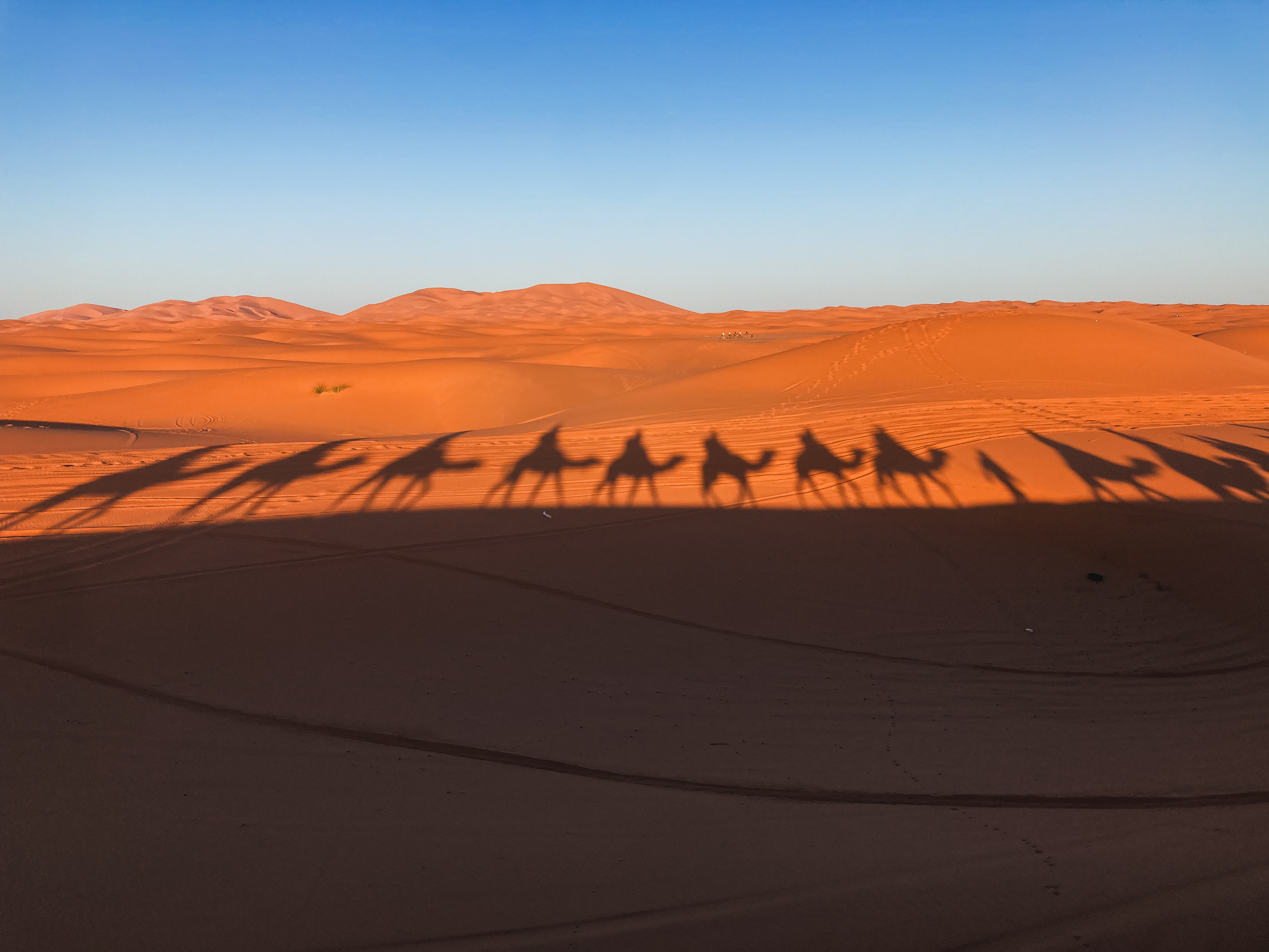In the desert