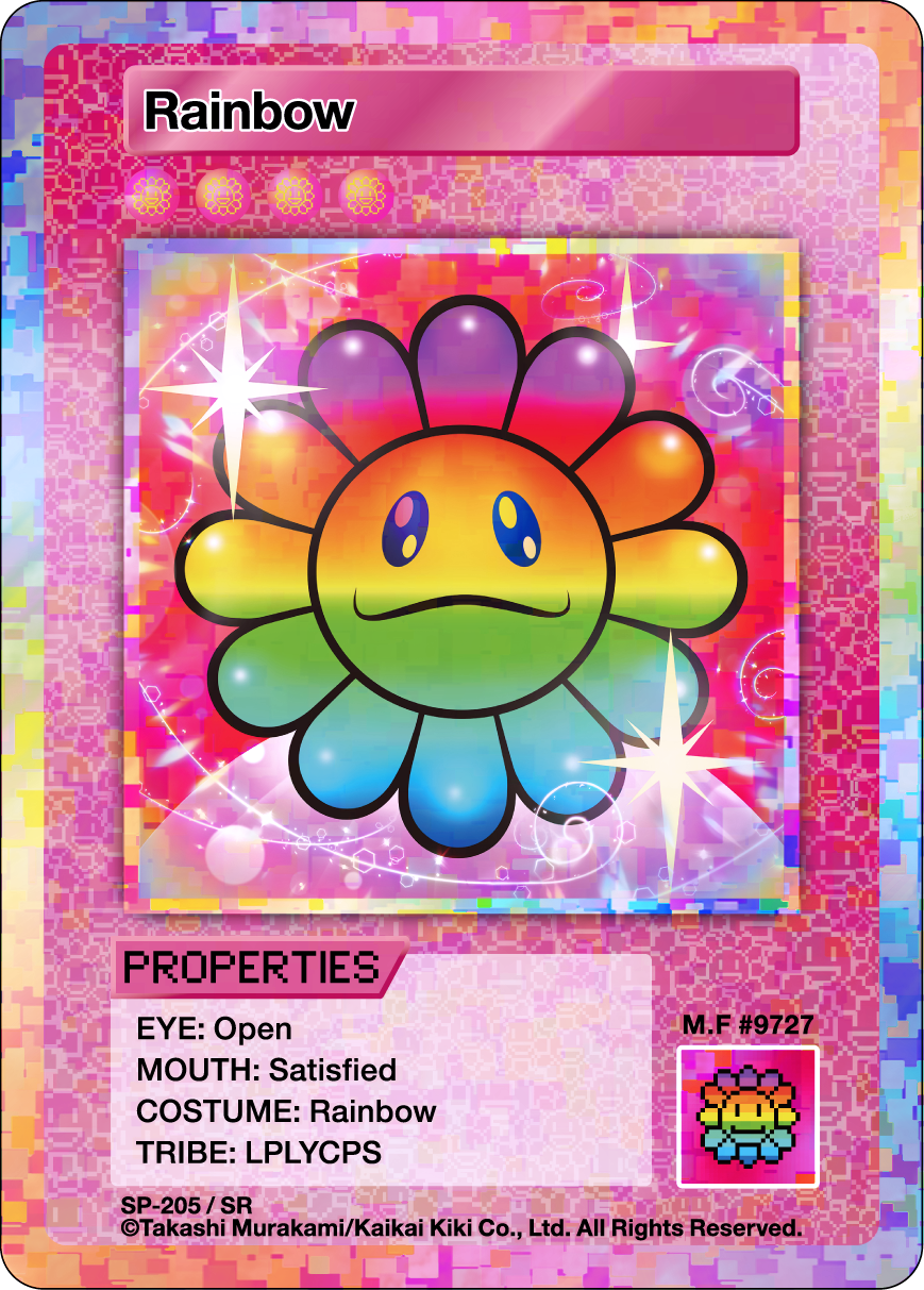 Rainbow SP-205 EN