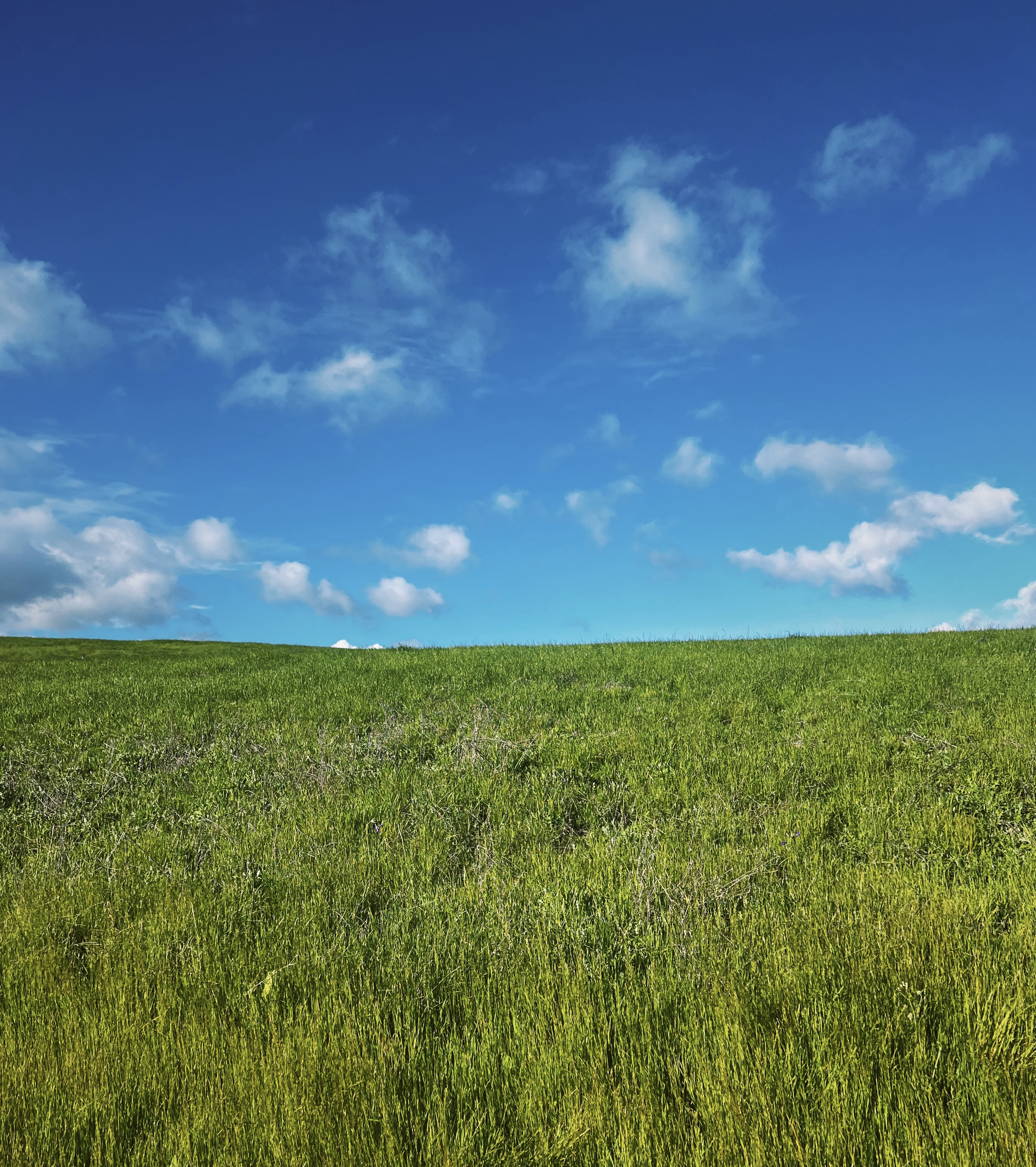 desktop background