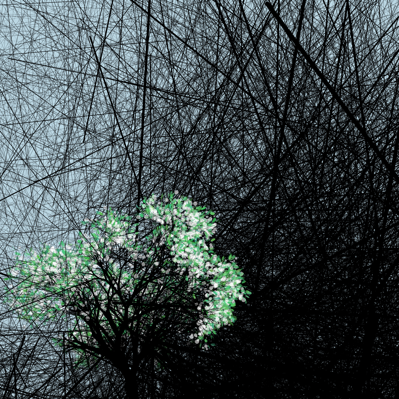Spring will come