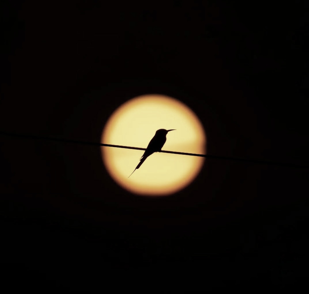 Hey Light... #9