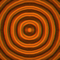 FlowSigil #335