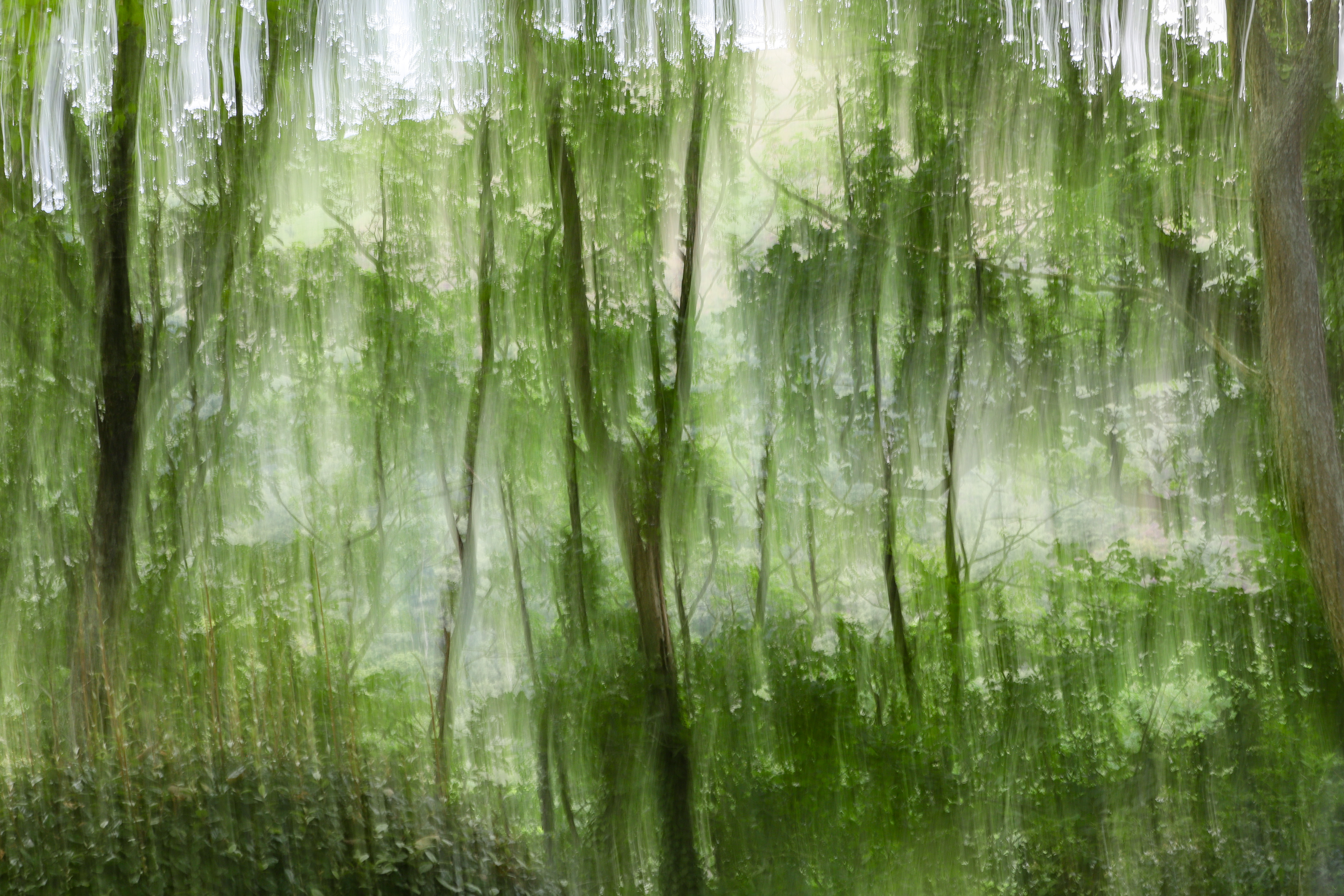 ICM Triptyque #3