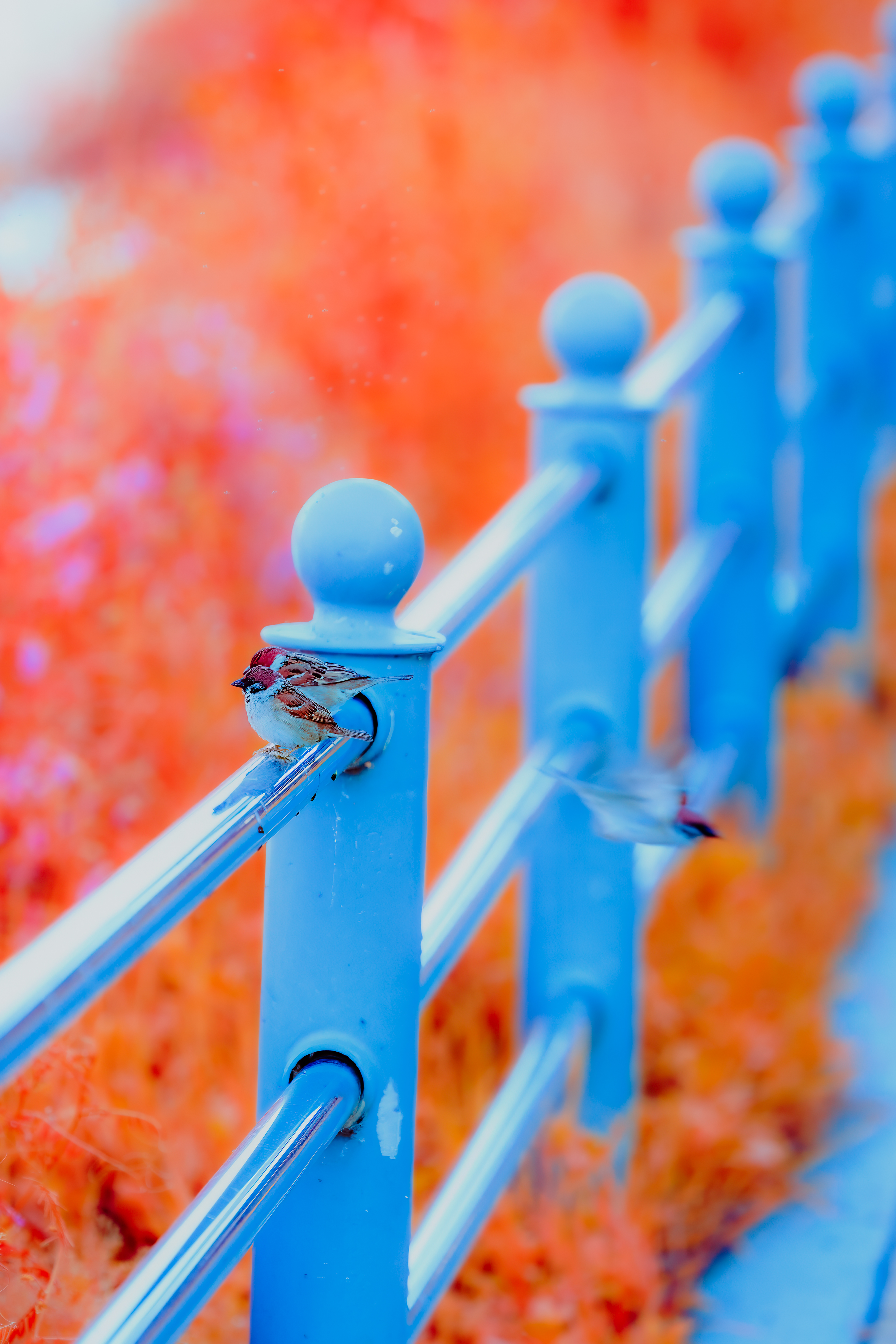 Moment 26 – Takeoff #31