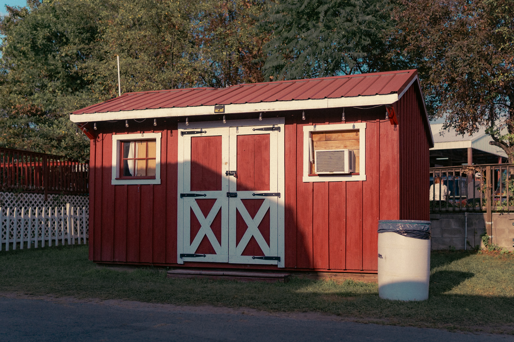Shed Face