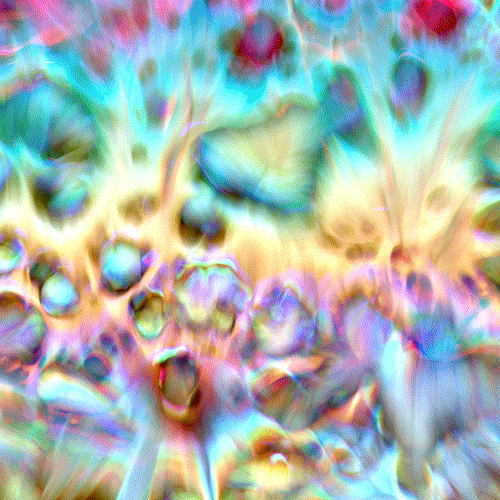 colors