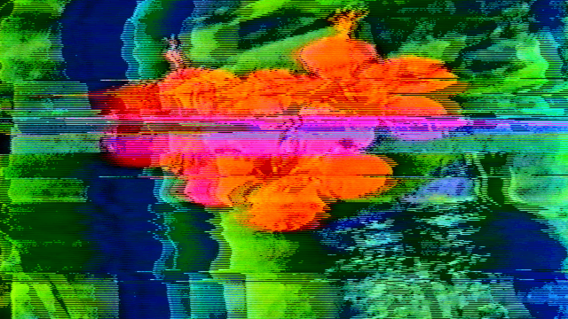 N1089
