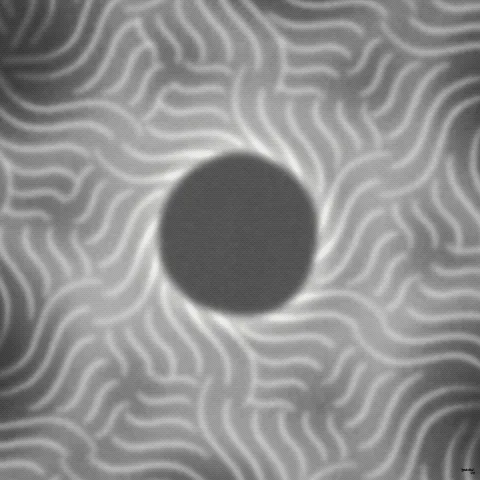 Eclipse April 8th 2024
