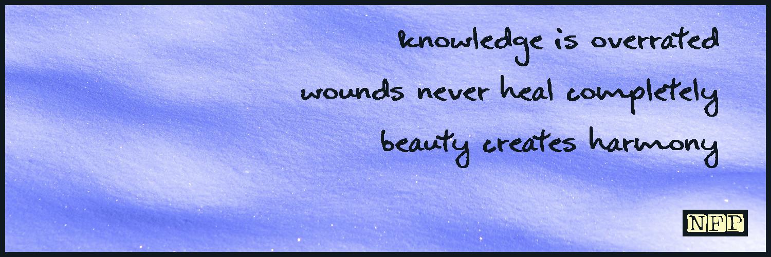 NotFungiblePoem #6351