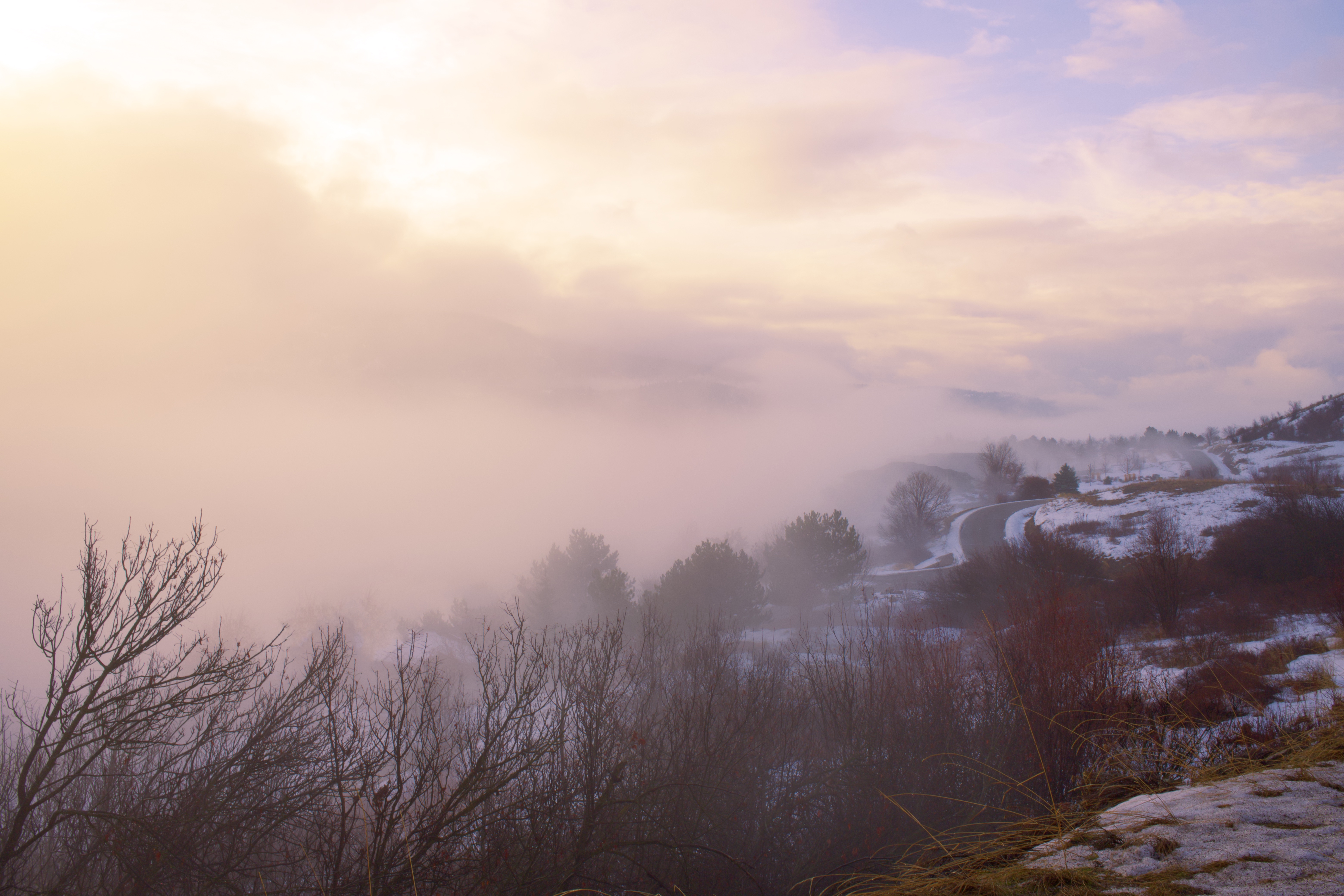 misty mornings
