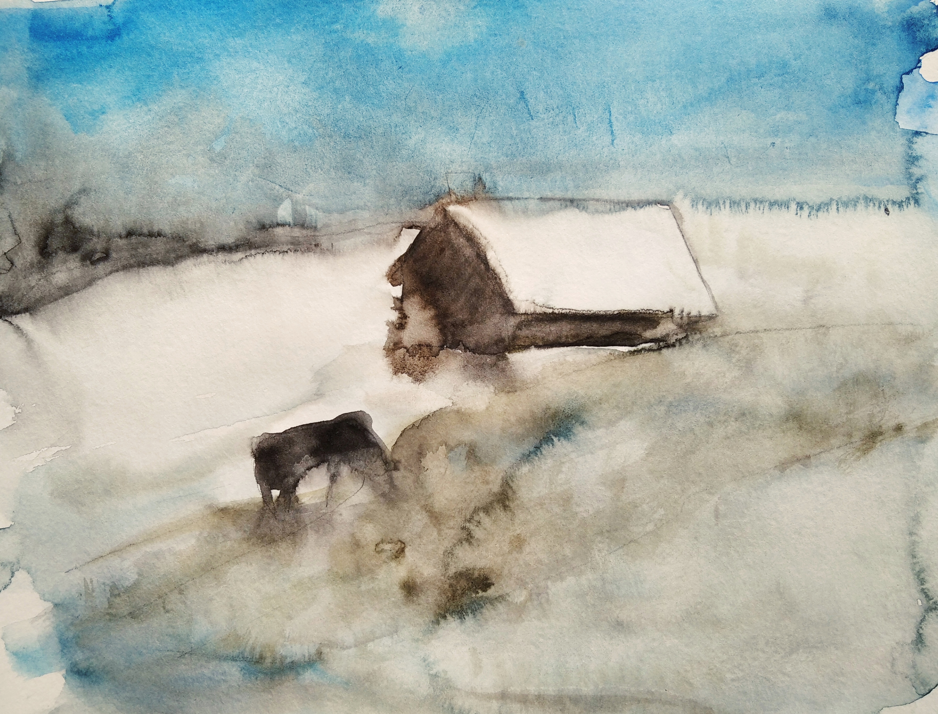 winter, horse