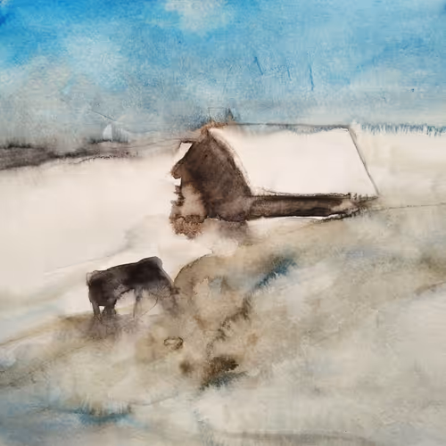 winter, horse