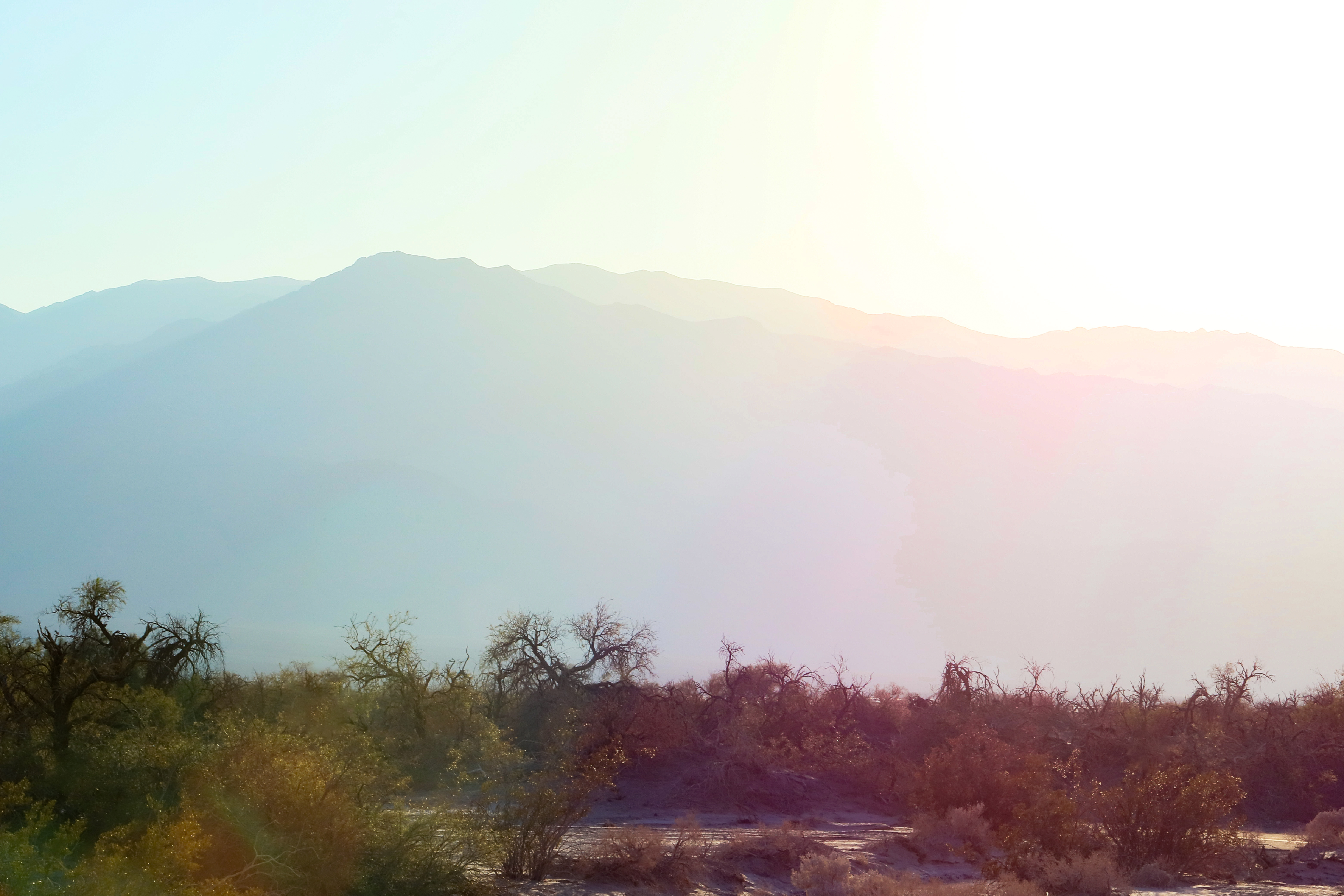 Sun Light #1