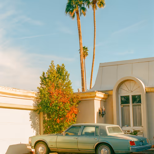 Palm Springs Warmth