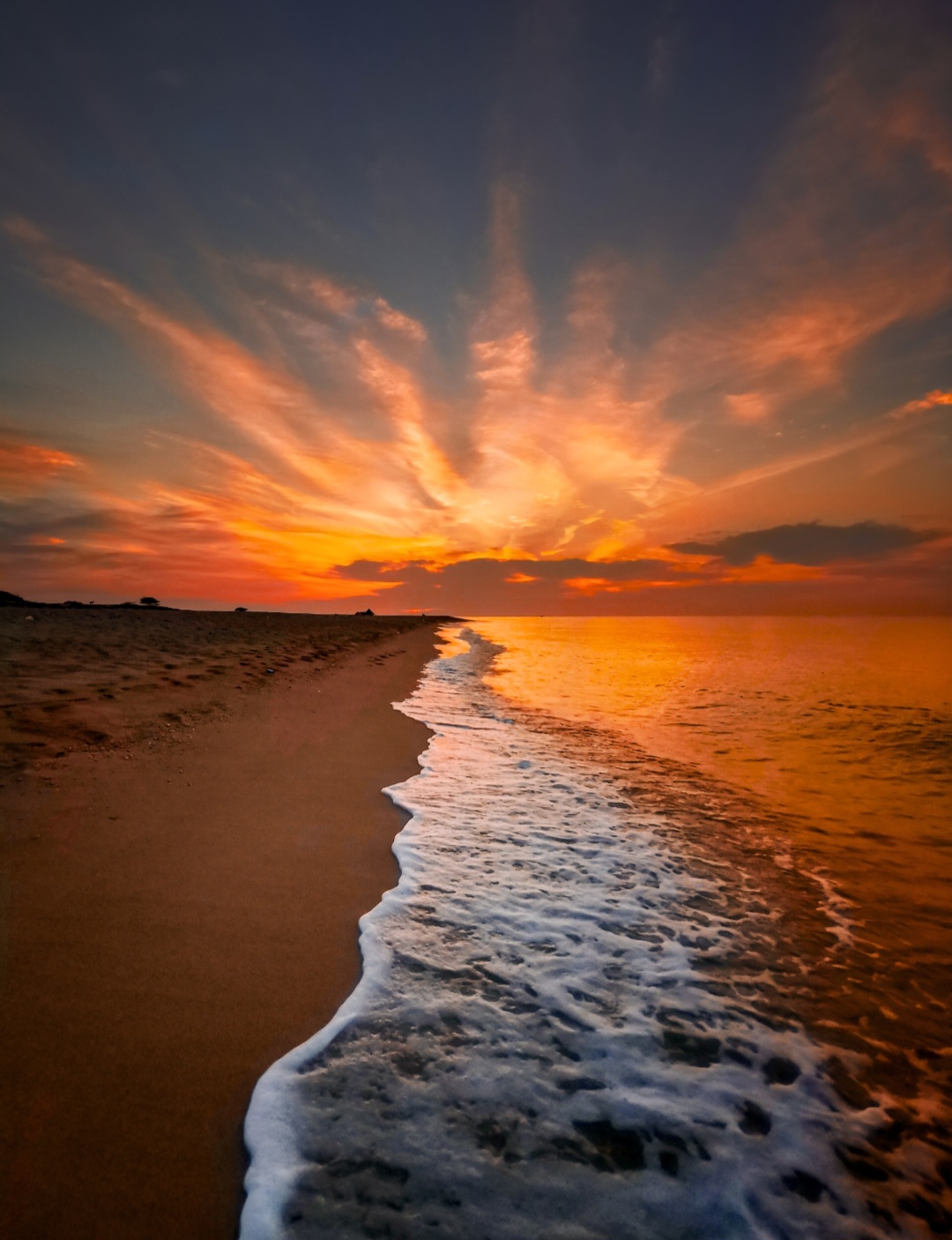 Sun's art