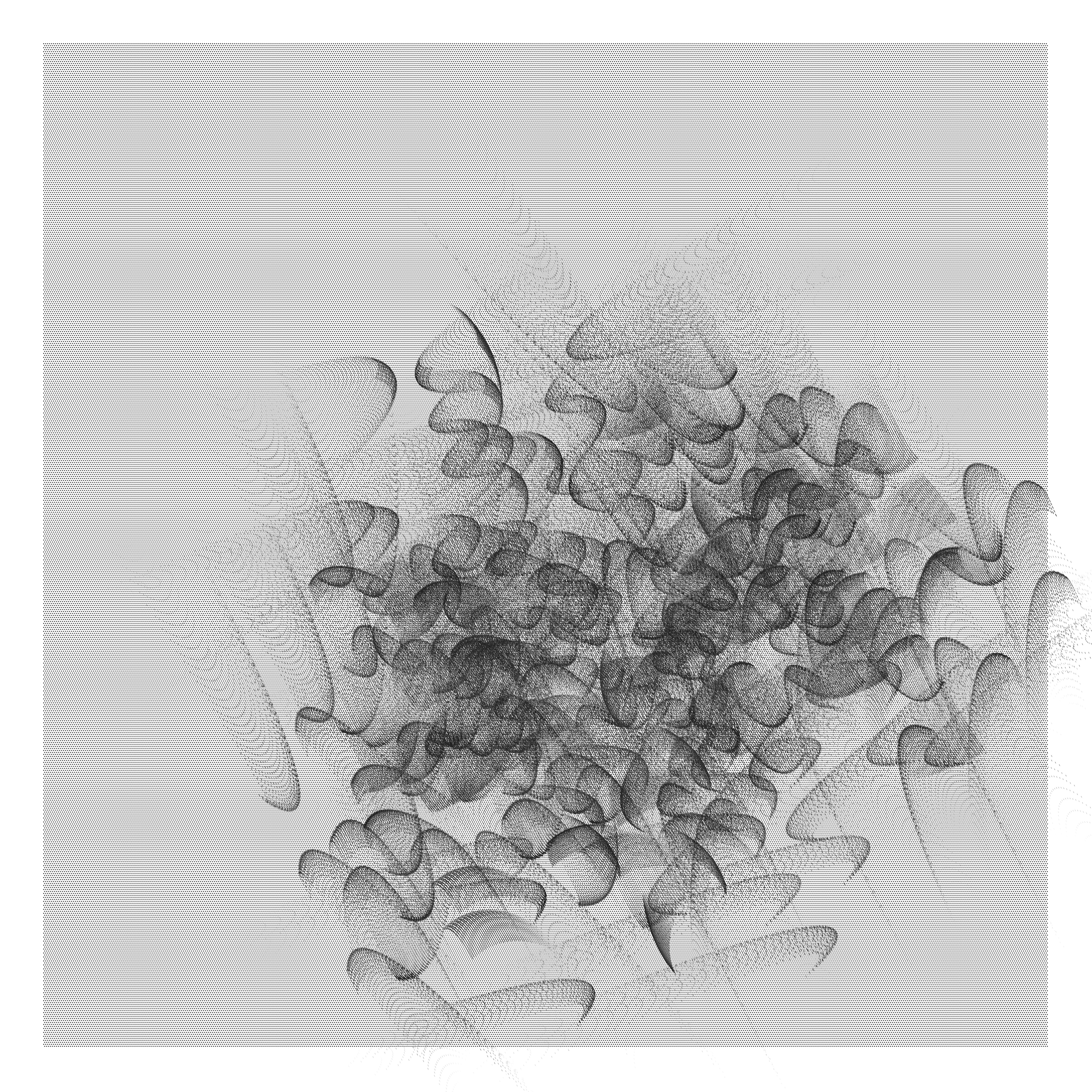 p5 Mesh Painting 05 01 25 G403