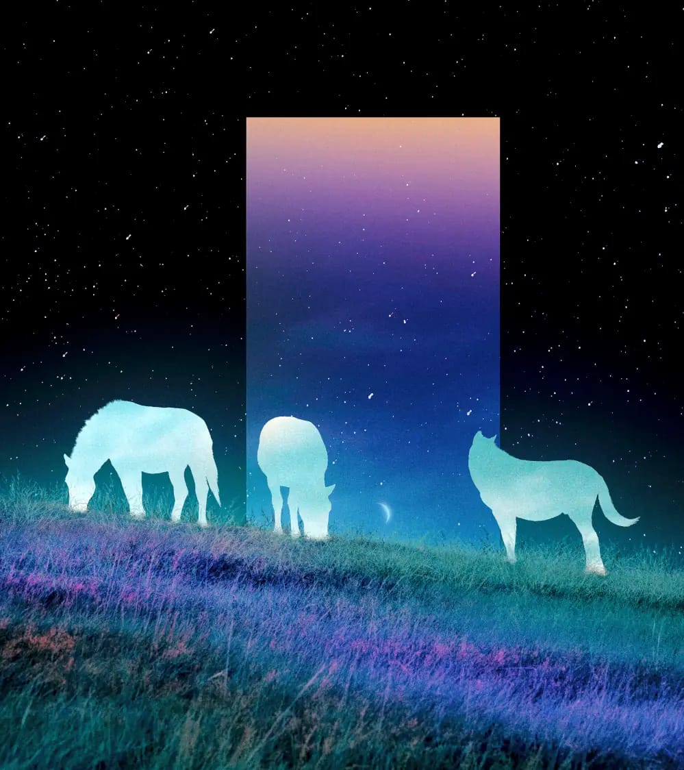 Midnight Creatures