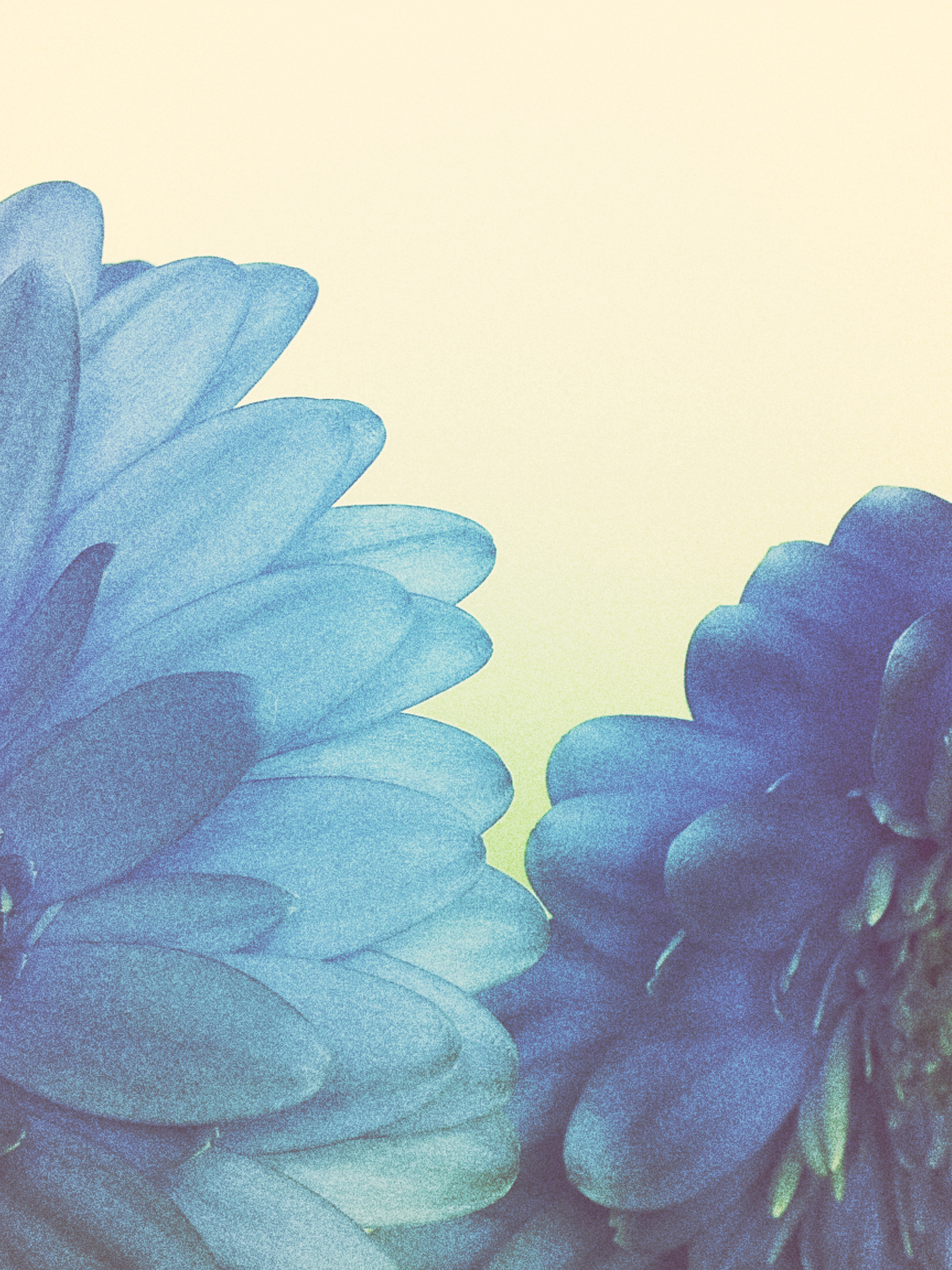 stay with me
