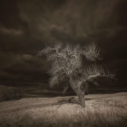 Dark Skies